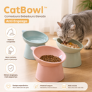 CatBowl™ - saúde e segurança em todas as refeições do seu pet 🐱💧