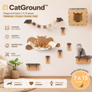 CatGround™ - Diversão, exercício e um verdadeiro paraíso para o seu gato 🐱🏡